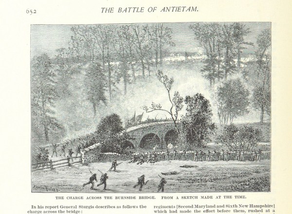 11187451524_41b1288915_c