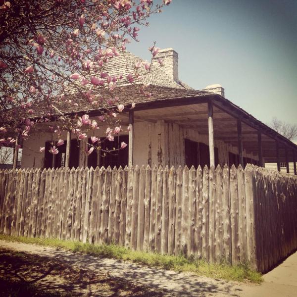 1526266_10202966521378387_8592928619118650316_n[1]